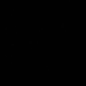 Meet your Posher, Brady